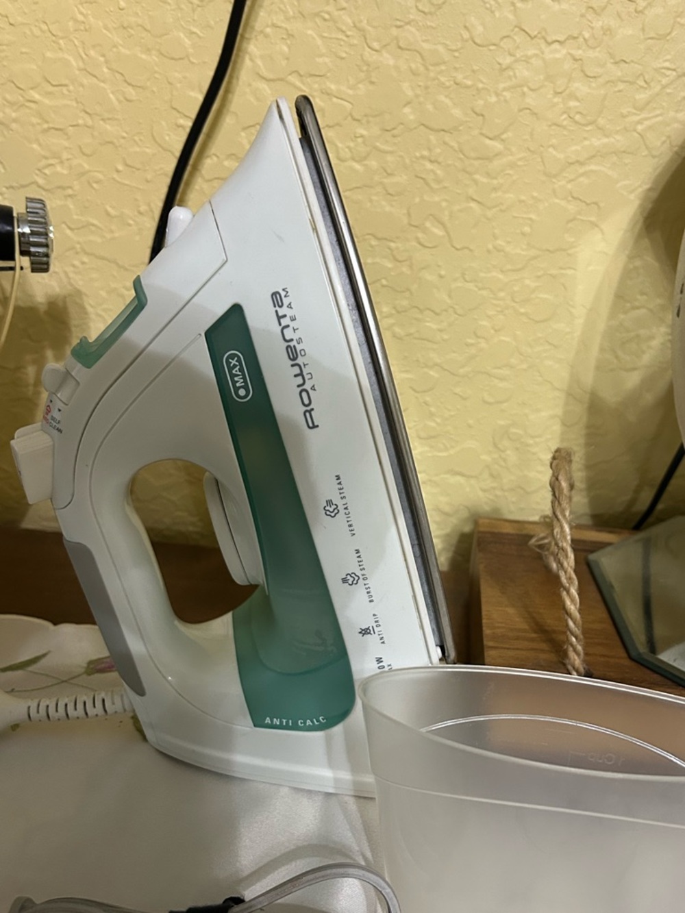 Rowenta Steam Iron with Green Accents